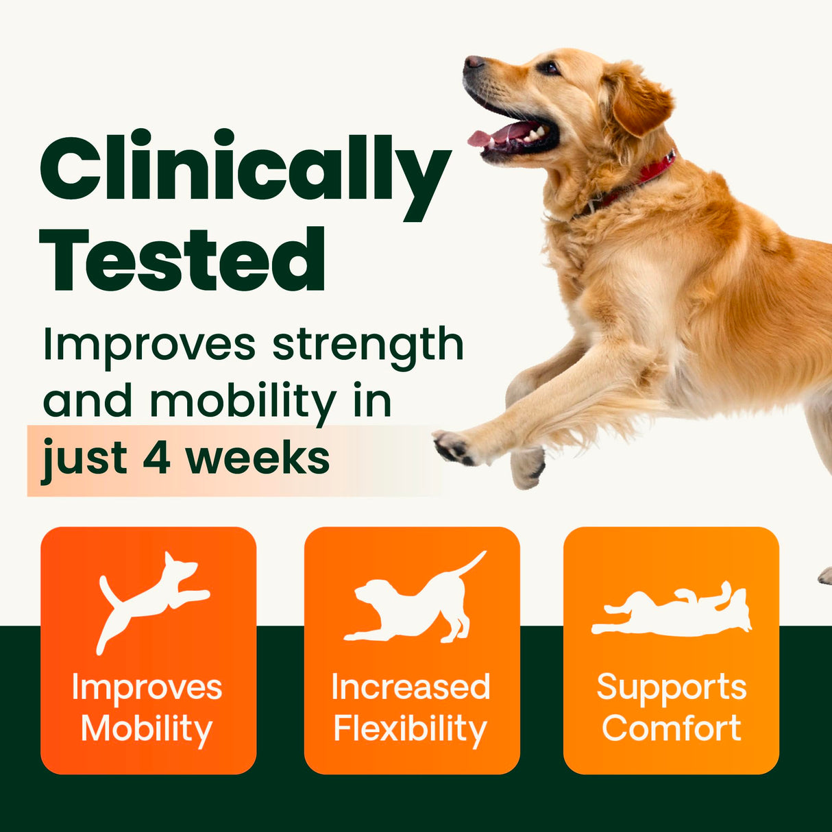 VetriScience HMB Healthy Muscle & Strength Supplement for Dogs, Mobility Support & Muscle Builder with Collagen, Calcium, Vitamin D & Curcumin, Powder, Pork, 8.47 oz - New Look