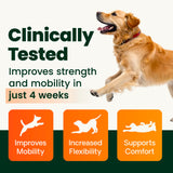 VetriScience HMB Healthy Muscle & Strength Supplement for Dogs, Mobility Support & Muscle Builder with Collagen, Calcium, Vitamin D & Curcumin, Powder, Pork, 8.47 oz - New Look