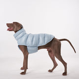 ChoChoCho Winter Dog Jacket, Cold Weather Coats, Lightweight, Thermal Insulated, Water-Resistant, Adjustable Dog Jackets with Leash Access for Small Medium Large Breeds (Blue, 3)