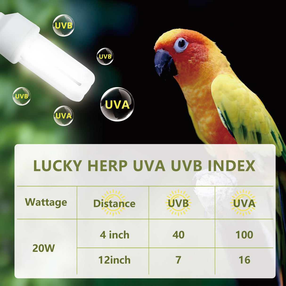 LUCKY HERP UVA UVB Light Bulb for Birds 2.4 UVB 20W Compact Flourescent Lamp for All Kinds Captive Birds