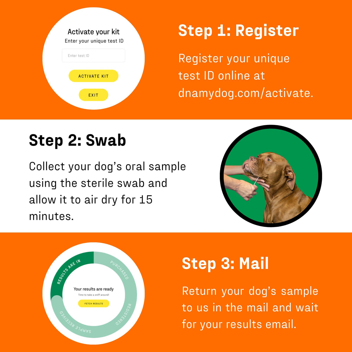 DNA Genetic Age and Breed Test – Trusted & Affordable Breed Identification | 350+ Breeds Identified with 99%+ Accuracy | Plus Genetic Age Test, Wolf DNA