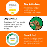 DNA Genetic Age and Breed Test – Trusted & Affordable Breed Identification | 350+ Breeds Identified with 99%+ Accuracy | Plus Genetic Age Test, Wolf DNA