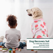 Load image into Gallery viewer, Kuoser Recovery Suit for Dogs Cats After Surgery, Professional Pet Recovery Shirt Dog Abdominal Wounds Bandages, Substitute E-Collar &amp; Cone,Prevent Licking Dog Onesies Pet Surgery Recovery Suit
