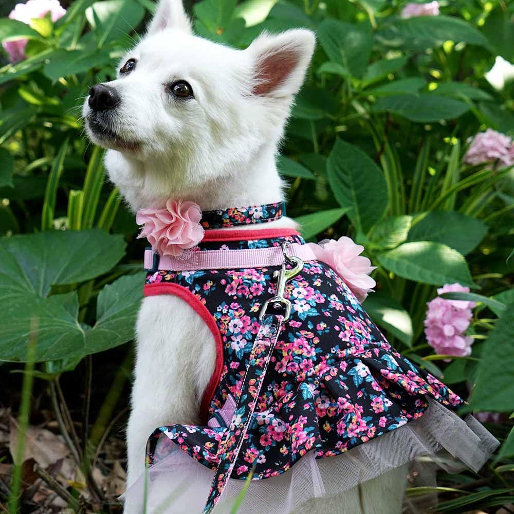 Blueberry Pet New Soft & Comfy Made Well Elegant Floral No Pull Mesh Dog Costume Harness Dress in Sleek Black, Chest Girth 19"-21", Small, Adjustable Harnesses for Dogs