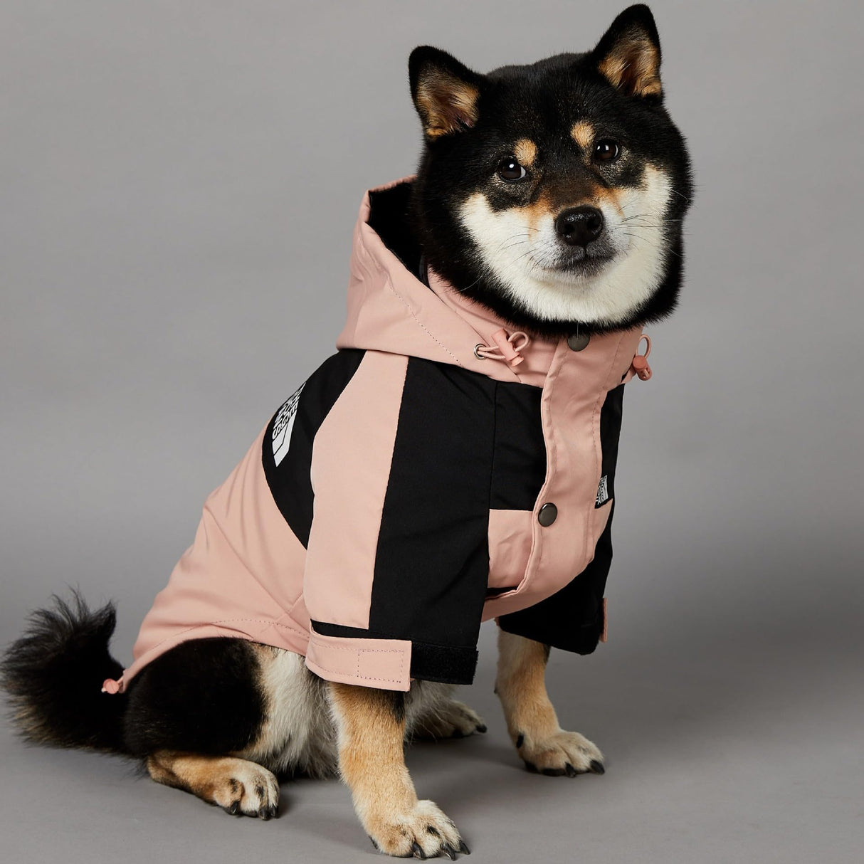 BETTYLAI Dog Raincoat with Adjustable Hood and Tail Drawstring, Button and Zipper Clothes, Durable Outdoor Waterproof Dog Rain Jacket for Small, Medium and Large Dogs (Pink, X-Large)