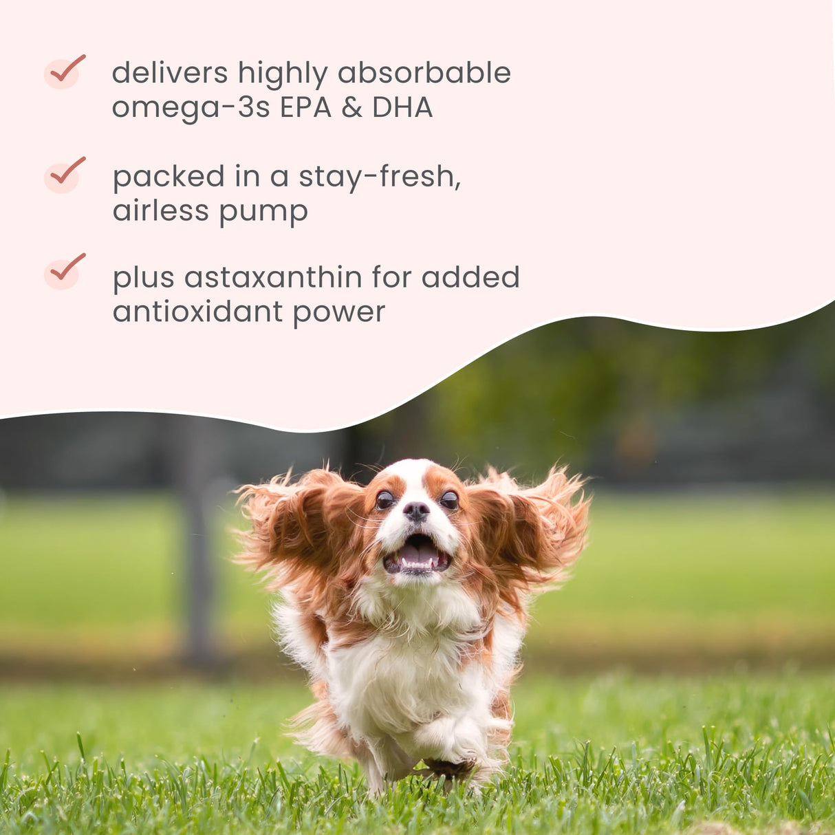 Bark & Whiskers Krill Oil Liquid Pump - Omega-3 Fatty Acids for Cats & Dogs - Supports Joint Comfort, Skin & Brain Function - Antioxidant Support - 1.45 Fl Oz (186 Pumps)