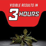 ORTHO GroundClear Year Long Vegetation Killer1 - Up to 1 Year of Weed and Grass Control, 2 gal.