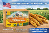 5lbs Wholesome Spray Millet for Birds – USA Grown, Harvested & Packed – 100% Natural Sun-Dried Millet Clusters – for Parakeets, Cockatiels, Conures, Budgies, Finches & All Parrots