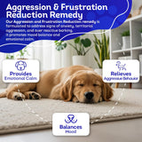 HA4E - Calming Tablets for Stressed and Aggressive Dogs - Reduce Dog Aggression & Promote Relaxation - All-Natural, Homeopathic Remedy - 300 Tablets