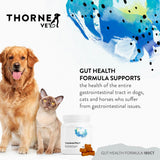 ThorneVET Gut Health Formula – Gastrointestinal Support for Dogs, Cats & Horses, 180 Soft Chews
