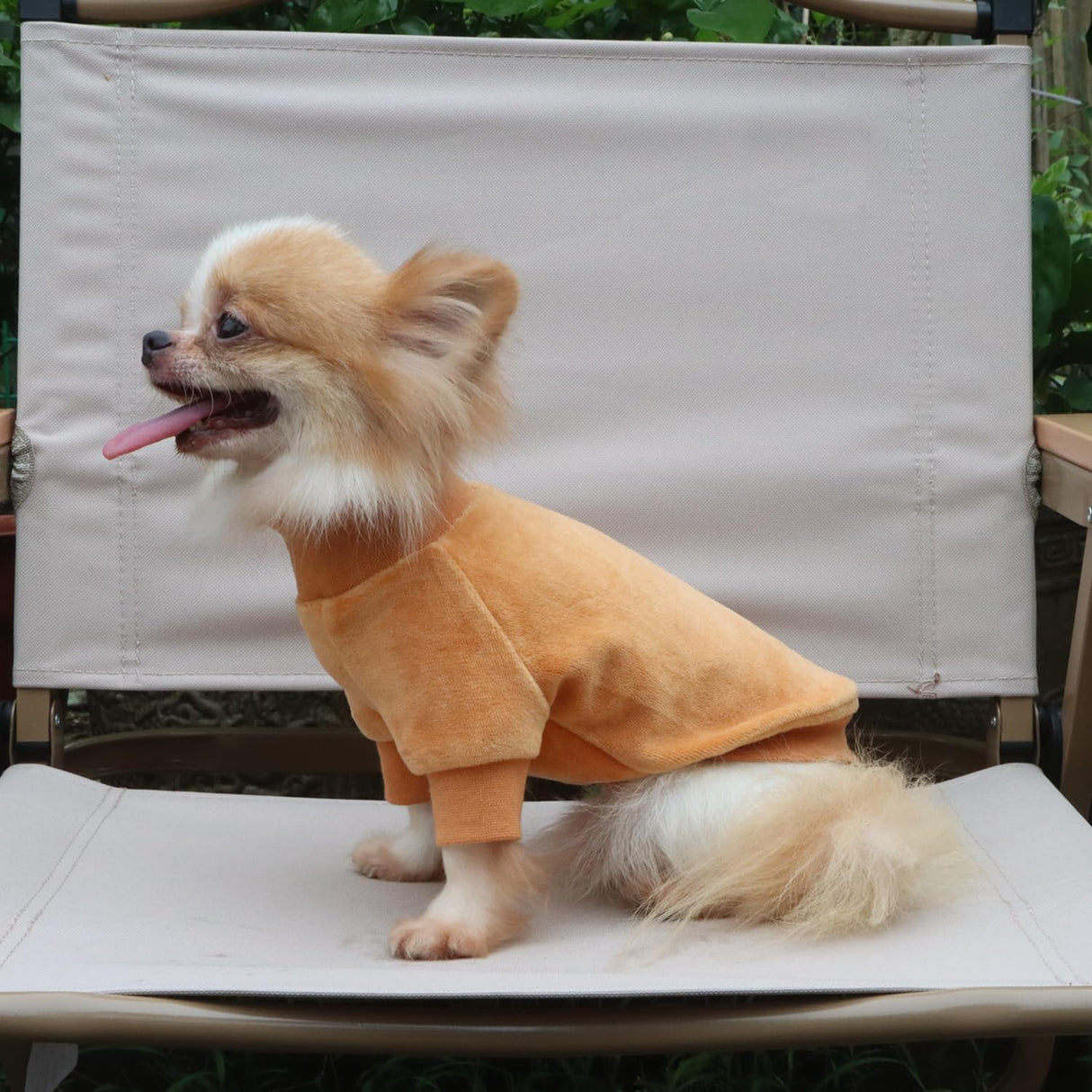 LOPHIPETS Small Dog Sweatshirt - Lightweight Cold Weather Coat - Fits 4.5-6.5 lbs - Adult Chis, Poms, Maltese - Camel Medium