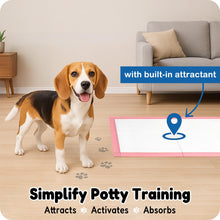 Load image into Gallery viewer, MoMoCo Puppy Pads, 23"x23"-100 Count Pet Pee Pads, Super Absorbent Disposable Dog Training Pads , Leak-Proof, Quick-Drying Potty Pads for Dogs Puppies
