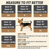 Loyanyy Plush Dog Pajamas for Cold Weather 4 Legged Clothes for Dog Cat Stretchy Puppy Kitten Onesie with Buttons Warm Soft Pet Jumpsuit Winter Coat Beige Medium