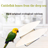 Clyairmao Bird Cuttlebone for Parakeets Cuttlebone for Birds - 100% Natural Cuttlefish Bone Bulk Chew Toy Bird Bites Calcium Stone for Canaries Tortoises,Snails,Reptiles,Parrots,Cockatiel