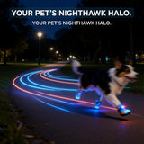 Breathable Light Up Shoes for Dogs & Cats, Anti-Slip LED Motion Breathable Shiny Boots Motion-Activated Pet Shoe (2PCS,1)