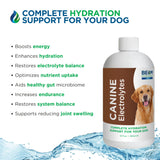 Beam Minerals Complete Canine Electrolytes | Full-Spectrum Electrolytes for Dogs | 12 Fl Oz