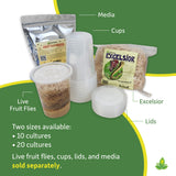 Josh's Frogs Excelsior (Makes 20 Fruit Fly Cultures) 9.2oz