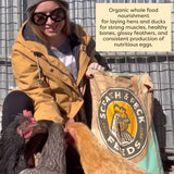 Scratch and Peck Feeds Whole Grain Layer Pellets Chicken and Duck Feed - 25 lbs Bag - Corn-Free and Soy-Free - 18% Protein, Certified Organic and Non-GMO Project Verified Chicken Food