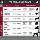Initial Letter Cuban Chain Dog Chain Pet Chain Pet, Cat, Puppy Necklace (N, 10")