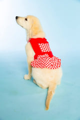 Doggy Parton Red Gingham Overalls Dress for Pets, Large (22120771)