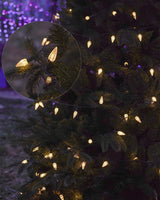 Twinkle Star C6 Christmas String Lights, 100 LED 33ft Fairy Lights with 29V Safe Adaptor, Indoor Outdoor 8 Lighting Modes with Memory Function for Patio Xmas Tree Wedding Party