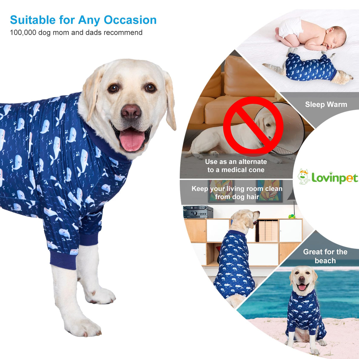 LovinPet Large Dog Outfit, Dog Onesie for Surgery, Large Breed Dog Pajamas, Lightweight Navy Whale Print, Pet Pajamas for Dogs, UV Protection Shirt for Dogs, Pitbull Clothes,Blue,3XL