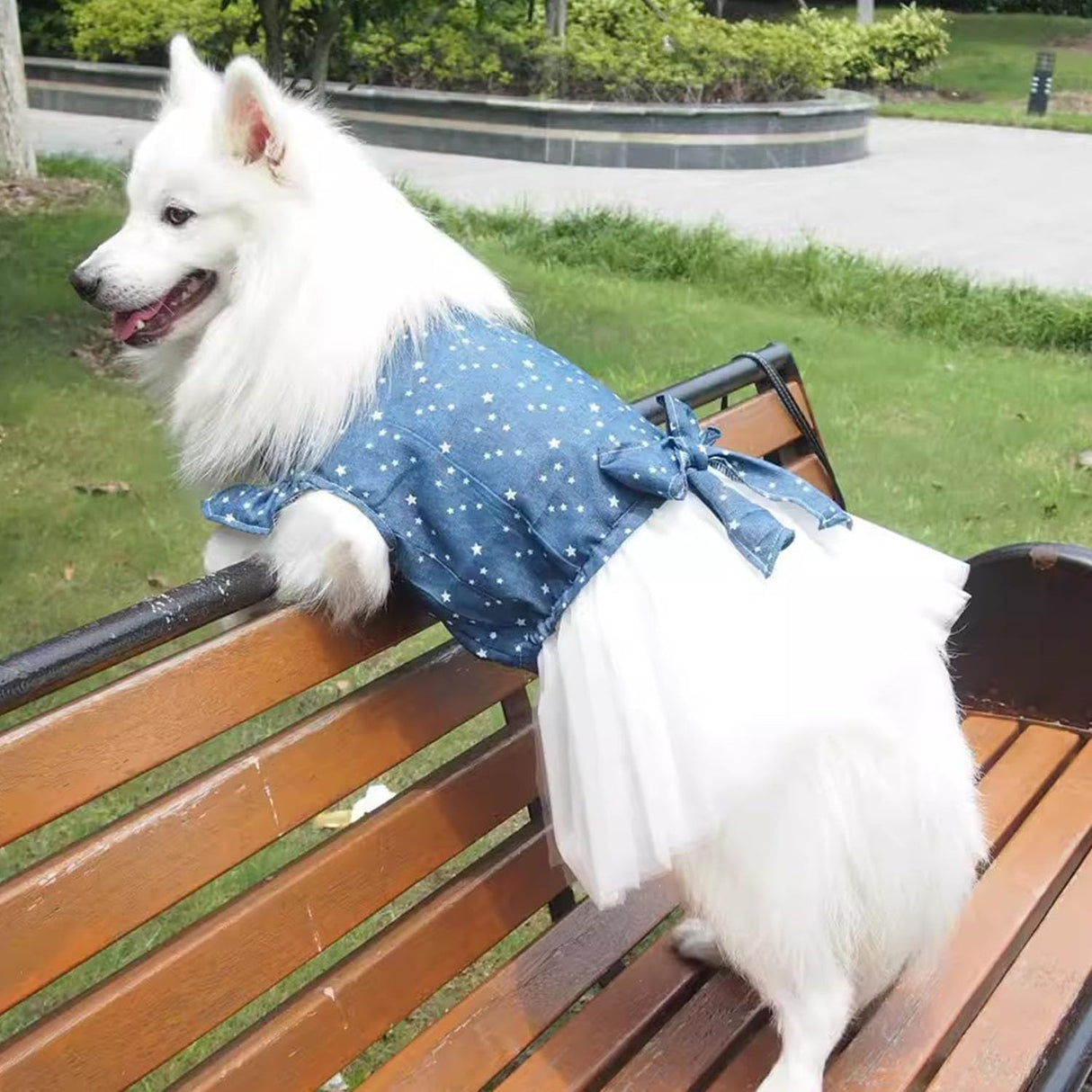 Polka Dot Big Large Dog Princess Dress Tutu Skirt Golden Retriever Pitbull Summer Dog Clothes Hoodie Costume (XL, Blue)