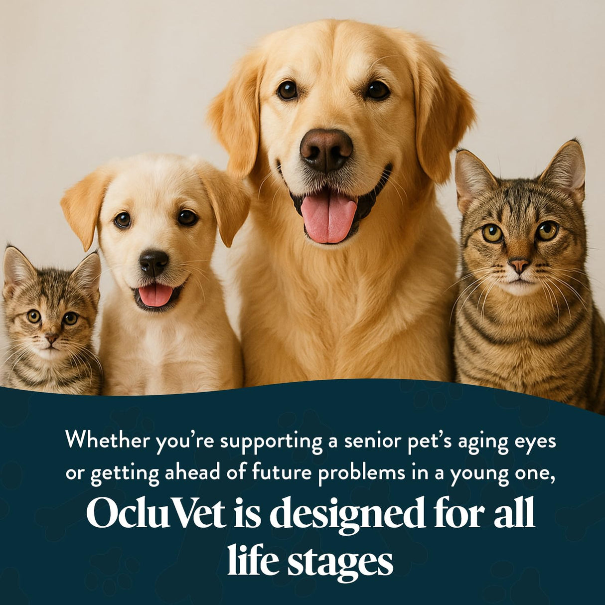 OcluVet Vision Chews Eye Supplements for Dogs & Cats, Natural Chicken Flavor, Contains Omega 3, Lutein, Antioxidants, & More, Cat & Dog Eye Supplements, No Preservatives, Made in USA, 1 Bag, 15 Chews