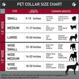 Pet Money Sign Pendant Necklace with Stone Studs, Fashion Jewelry for Dogs and Cats (Silver Tone, 12")