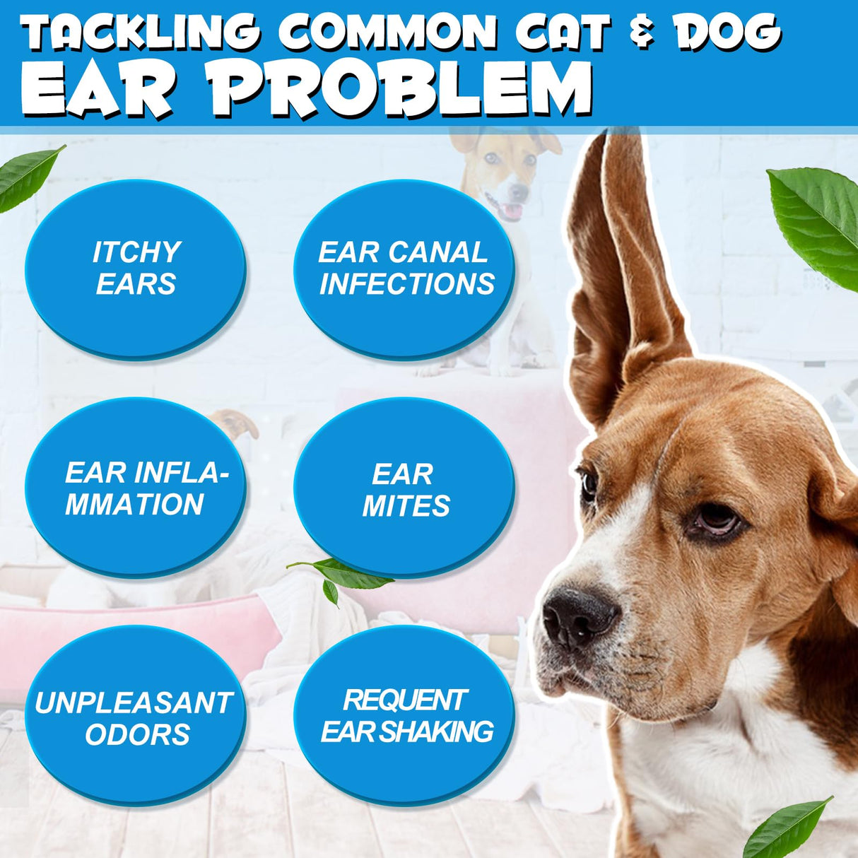 Dog & Cat Ear Infection Treatment Drop with 1% Hydrocortisone for Dog Yeast Ear Infections, Soothes Itchy Ears, Prevents Infections, Safe for Puppies, Adult, Ear Drops for Dogs & Cats 2 fl oz.