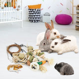 Bissap Bunny Chew Toy, 2 Packs Rabbits Cage Hanging Chew Toys and Treats Rattan Ring with Snacks for Guinea Pigs Chinchillas Hamsters Rats and Other Small Pets Teeth Grinding