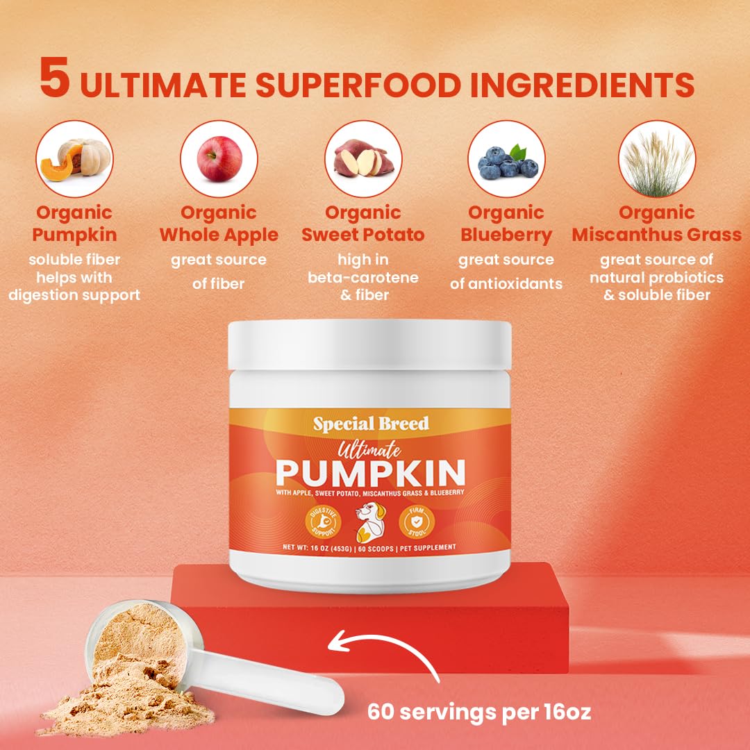 Ultimate Pumpkin for Dogs (16 oz) - with Organic Pumpkin, Apple, Sweet Potato, Miscanthus Grass & Blueberry, Digestive Support Relief for Constipation, Loose Stools, and Upset Stomaches, 60 Scoops