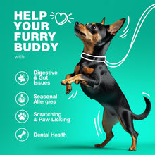 Load image into Gallery viewer, Probiotics for Dogs Gut Health, Digestion, Immunity, Yeast Balance, Itchy Skin, Allergies Support - Dog Probiotic Chews with Digestive Enzymes for Gut Flora- Soft Treats with Pumpkin and Yeast Powder
