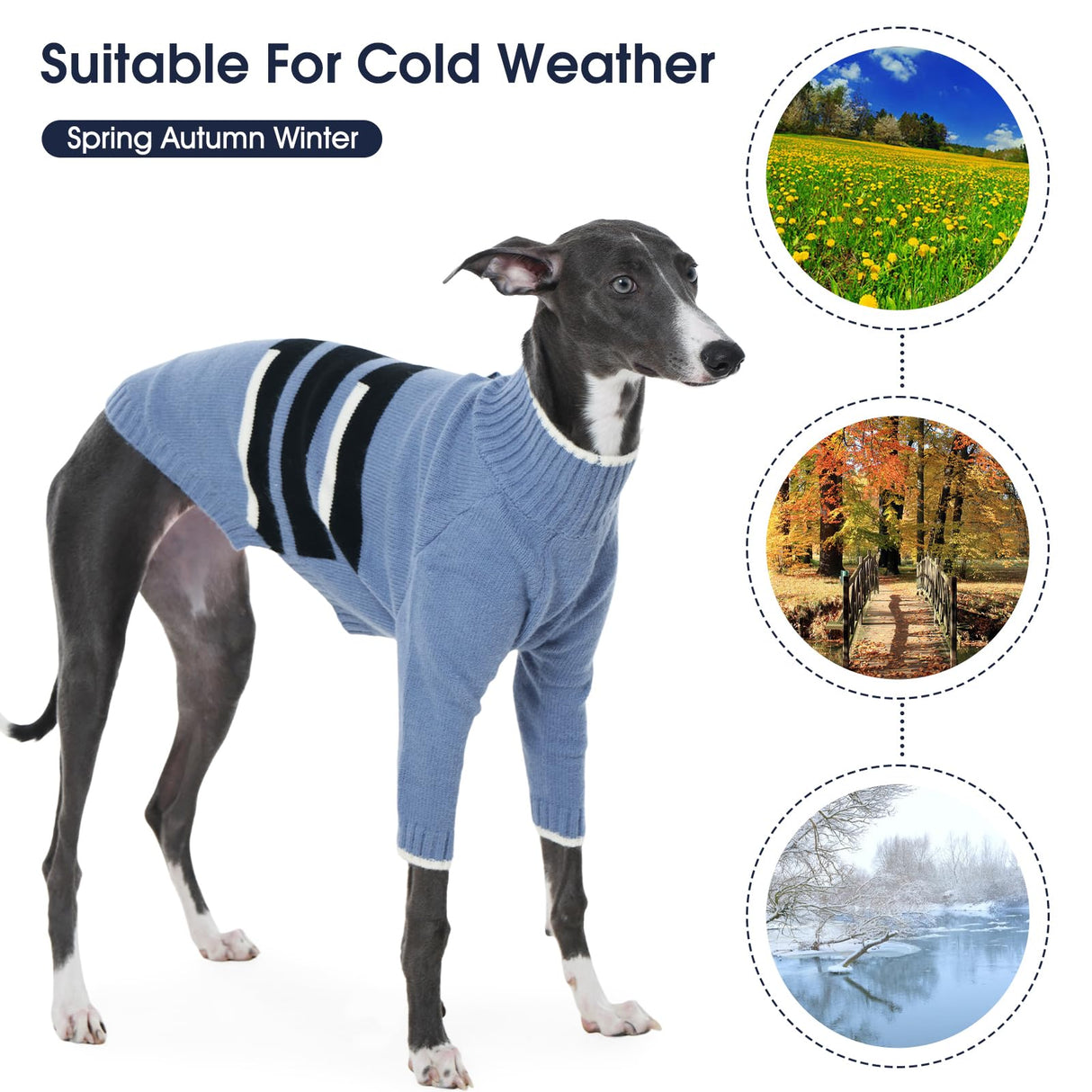 IECOii Warm Italian Greyhound Sweater, Whippet Clothes with Detachable Hood Turtleneck Sighthound Sweaters for Medium Dogs, Cozy & Stretchy Pullover Knitwear for Fall and Winter, Large- Blue