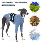 IECOii Warm Italian Greyhound Sweater, Whippet Clothes with Detachable Hood Turtleneck Sighthound Sweaters for Medium Dogs, Cozy & Stretchy Pullover Knitwear for Fall and Winter, Large- Blue