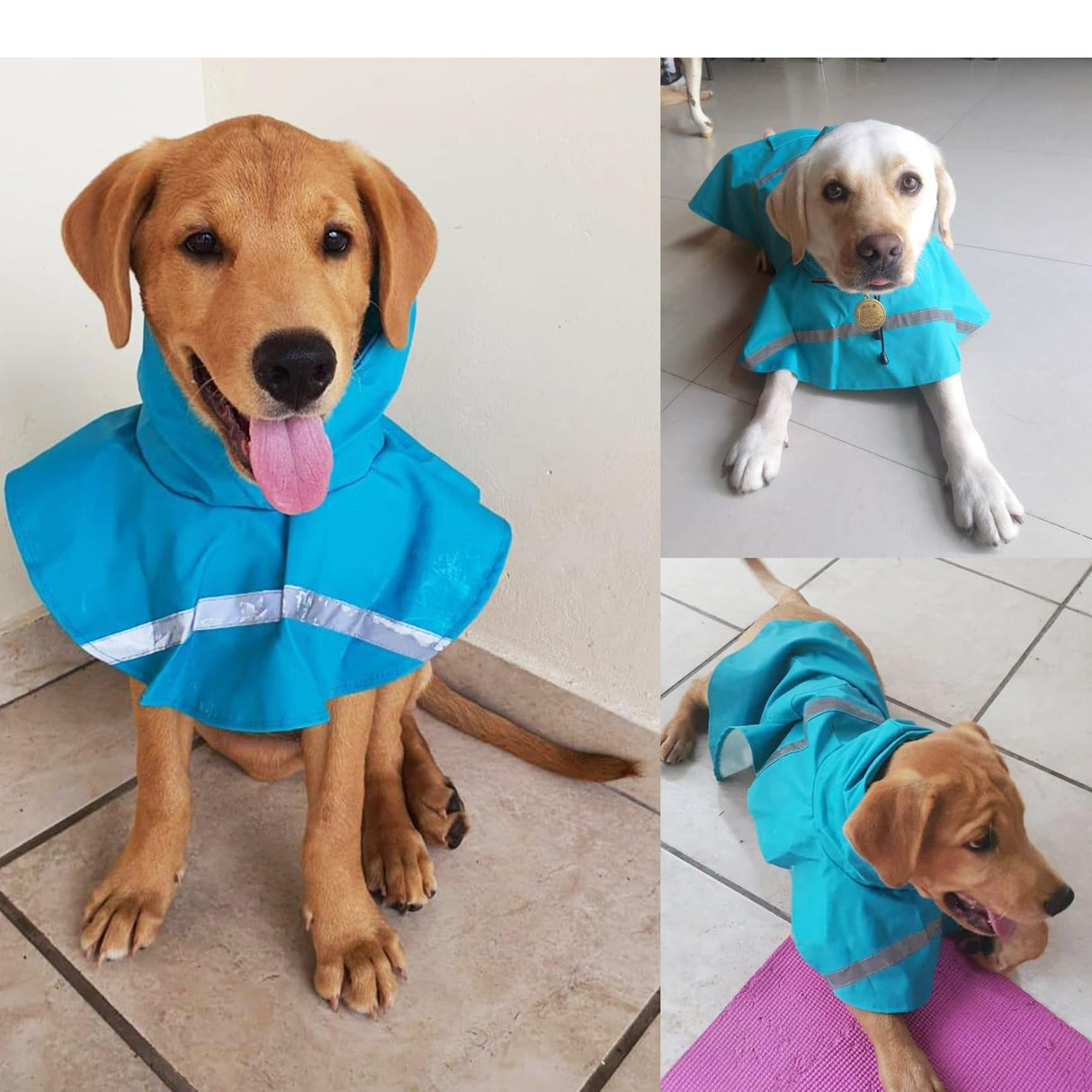HAPEE Dog Raincoats with Reflective Strip Hoodie,Poncho Jacket for Large Dogs fit Golden Retriever Doodle (C3-Lake Blue, 26B (75-85 lbs))