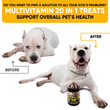 20-in-1 Dog Multivitamin Chews - Dog Supplement for Immunity, Digestion, Joint Care, Vision, Brain and Heart Health Support - Natural Dog Vitamins with MSM & Glucosamine for Dogs - 180 Chews