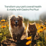 pawTree Gastro Pro Plus® for Dogs and Cats - Probiotics, Prebiotics and Digestive Enzymes - for Sensitive Stomach, Digestive Issues, Loose Stool, and Bad Gas (30 ct)