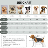 Queenmore Dog Winter Jacket, Fleece Dogs Vest for Winter, Dog Cold Weather Coats, Puppy Coats for Medium Breeds Waterproof, Pet Snowsuit with Leash Hole, Grey, M
