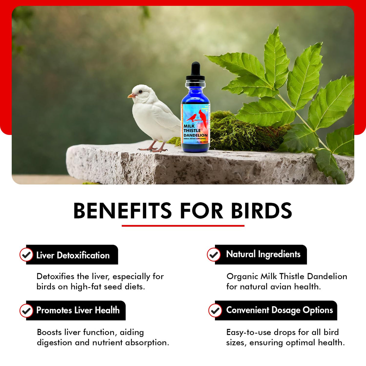Morning Bird Milk Thistle & Dandelion Extract 1 fl oz - Organic Bird Supplement for Optimal Health – Support Liver Heath & Promotes Detox - Suitable for All Birds Species
