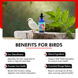 Morning Bird Milk Thistle & Dandelion Extract 1 fl oz - Organic Bird Supplement for Optimal Health – Support Liver Heath & Promotes Detox - Suitable for All Birds Species