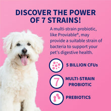 Load image into Gallery viewer, Nutramax Proviable Probiotics for Dogs and Cats, Daily Digestive Health Supplement with Multiple Strains of Bacteria, Cat and Dog Probiotics Plus Prebiotics, 30 Capsules
