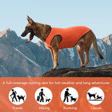 UNIPUP 2 Pack Cooling Shirts for Dogs, Lightweight Mesh Breathable Dog Clothes for Medium Dogs Boy Girl,Sun-Protection Sleeveless Shirts for Dog&Cat Puppy Vest Pet Apparel - L