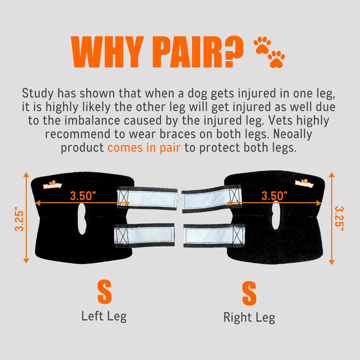 NeoAlly Cat and Dog Ankle Brace Pair Canine Rear Leg Hock Support with Safety Reflective Straps for Hind Leg Wounds Heal and Injuries and Sprains from Arthritis (S Pair)
