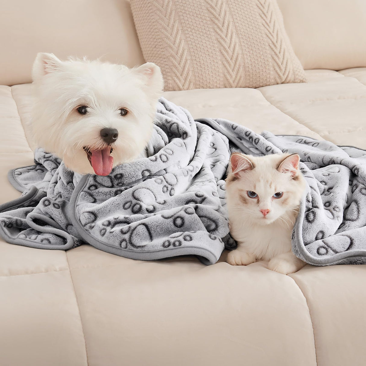 Luciphia 1 Pack 3 Blankets Fluffy Premium Fleece Pet Blanket Flannel Paw Printed Throw for Dog Cat Grey Paw Large(41"x31",Pack of 3)