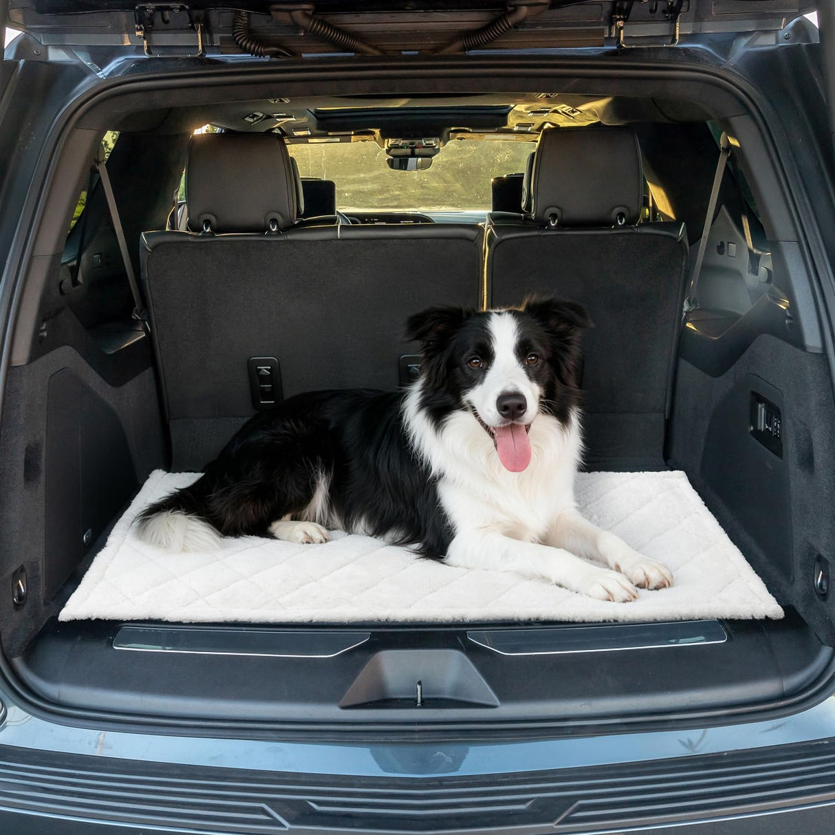 Sanqitara Backseat Pet Bed Mat, Truck Plaid Dog Bed for Car Back Seat, Deluxe Dog Seat Covers, Non-Slip Travel Pet Mat, Fit for Backseat Extenders and Trucks SUV