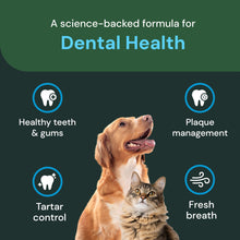 Load image into Gallery viewer, VETRISCIENCE Dental Care Powder - Dental Supplement Powder for Dogs &amp; Cats - Supports Breath Freshening - Healthy Teeth &amp; Gums - Easy-to-Use Oral Hygiene for Pets - 16 oz

