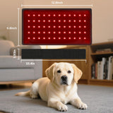 Red Light Therapy for Dogs,Wearable Infrared Light Therapy Belt for Pets Wounds Repair,Joint & Back Pain Relief,12.8 × 6.8 in 660/850 nm 80-LED Pad