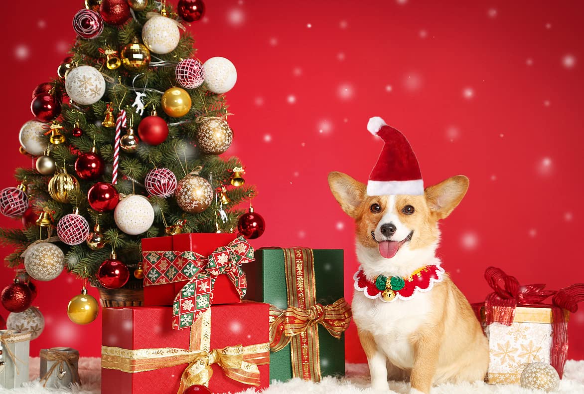 Beiabang 10 Pcs Dog Cat Pet Santa Hat Christmas Pet Costumes Santa Hat Pet Christmas Photo Props for Puppy Kitten Small Cats Dog