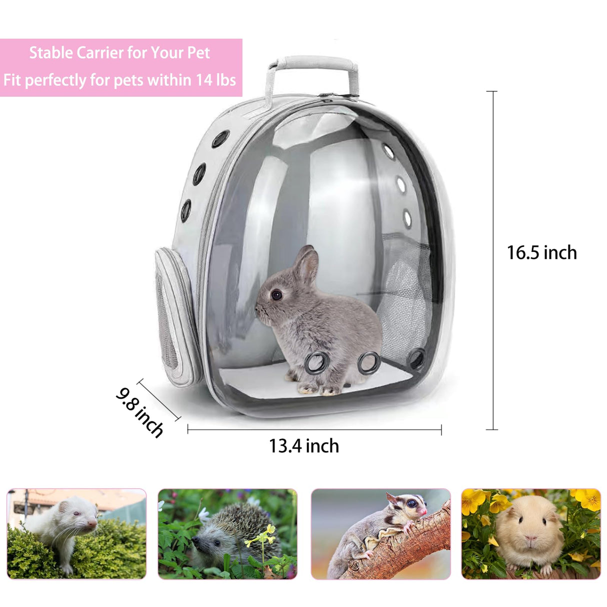 CUTENNIOU Small Pet Carrier Backpack Rabbit Carrier with Harness Vest Stretchy Elastic Leash Large Breathable Pet Carrier Airline Approved for Bunny Guinea Pig Ferret Hedgehog Kitten Travel Walking